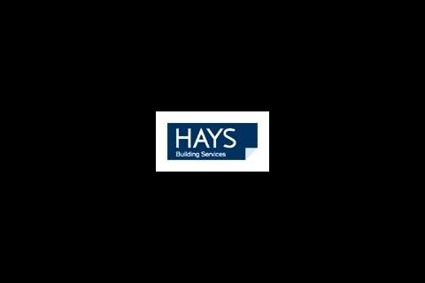 Hays ǿմý Services